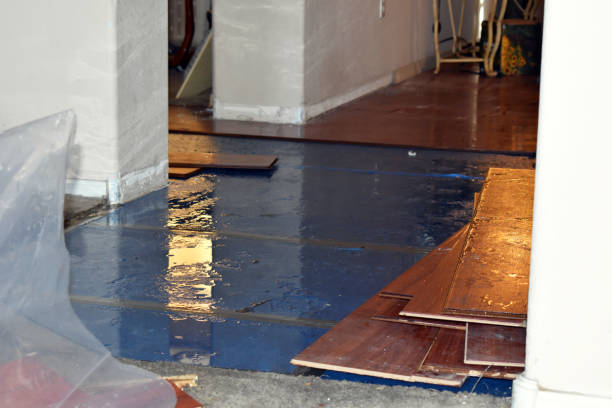 Professional Storm Water Damage Restoration technician working in Concordia, NJ